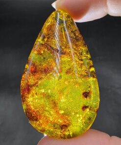 Alternative view of Amber with Insect Inclusions | Colombia | Fossilized Tree Amber | Polished Amber
