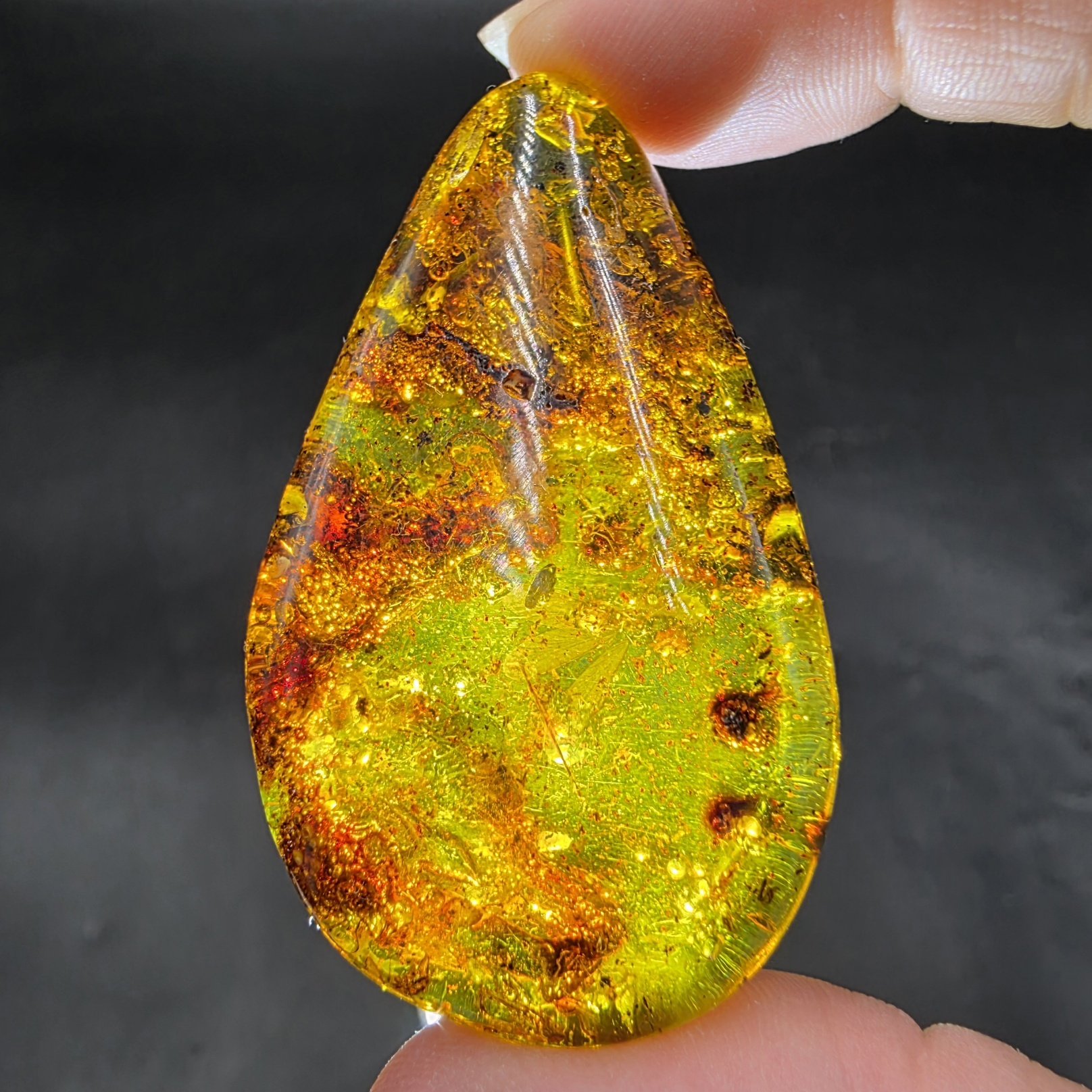 Amber with Insect Inclusions | Colombia | Fossilized Tree Amber | Polished Amber - Image 2