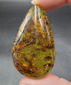 Amber with Insect Inclusions | Colombia | Fossilized Tree Amber | Polished Amber