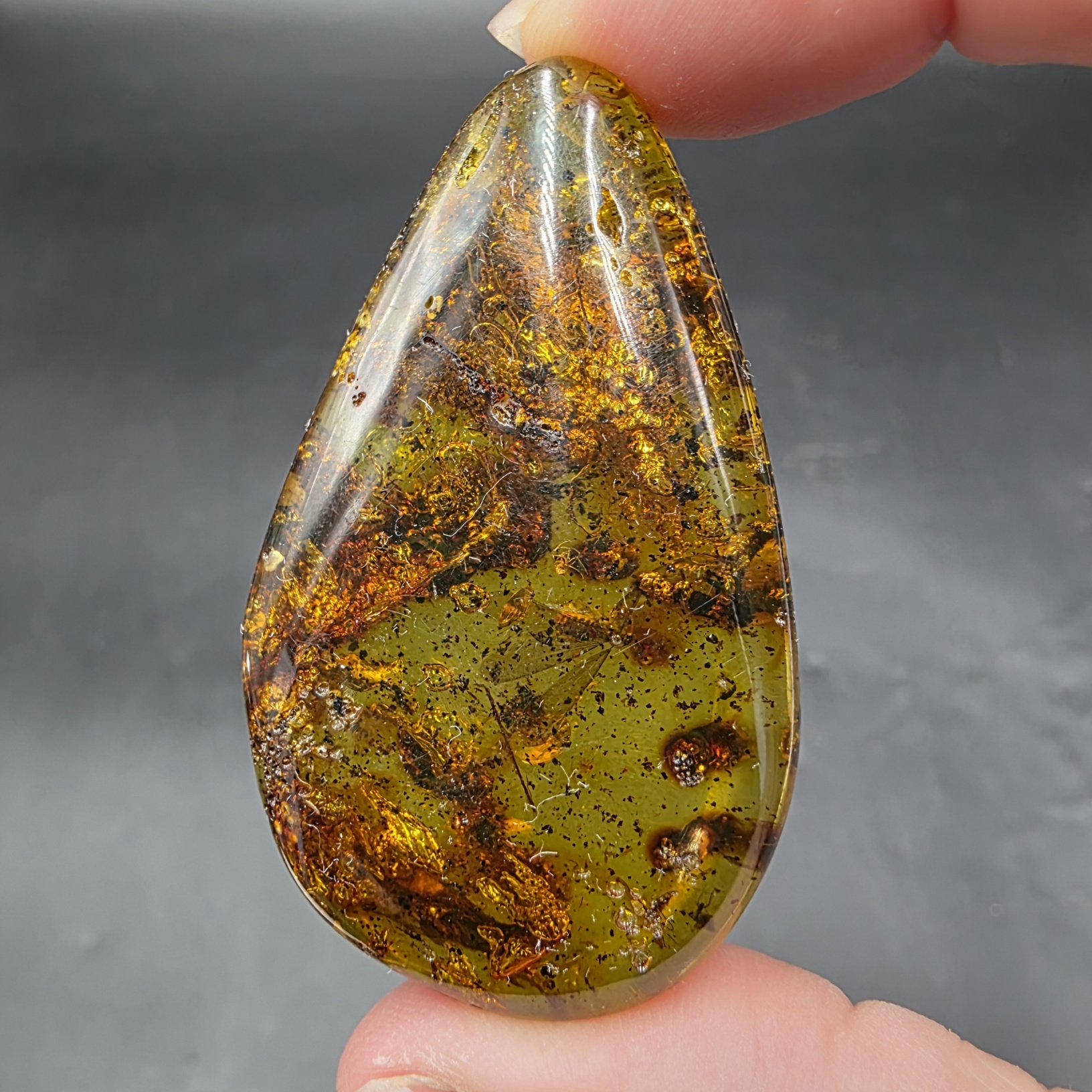 Amber with Insect Inclusions | Colombia | Fossilized Tree Amber | Polished Amber