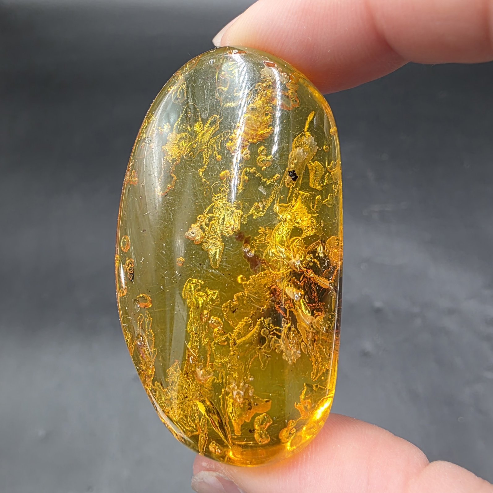 Amber with Insect Inclusions | Colombia | Fossilized Tree Amber | Polished Amber - Image 7