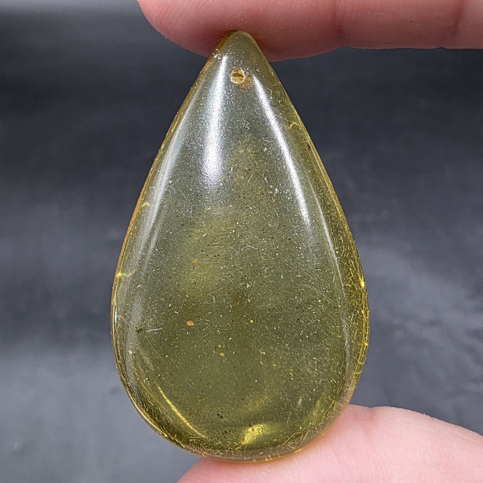 Amber with Insect Inclusions | Colombia | Fossilized Tree Amber | Polished Amber - Image 3
