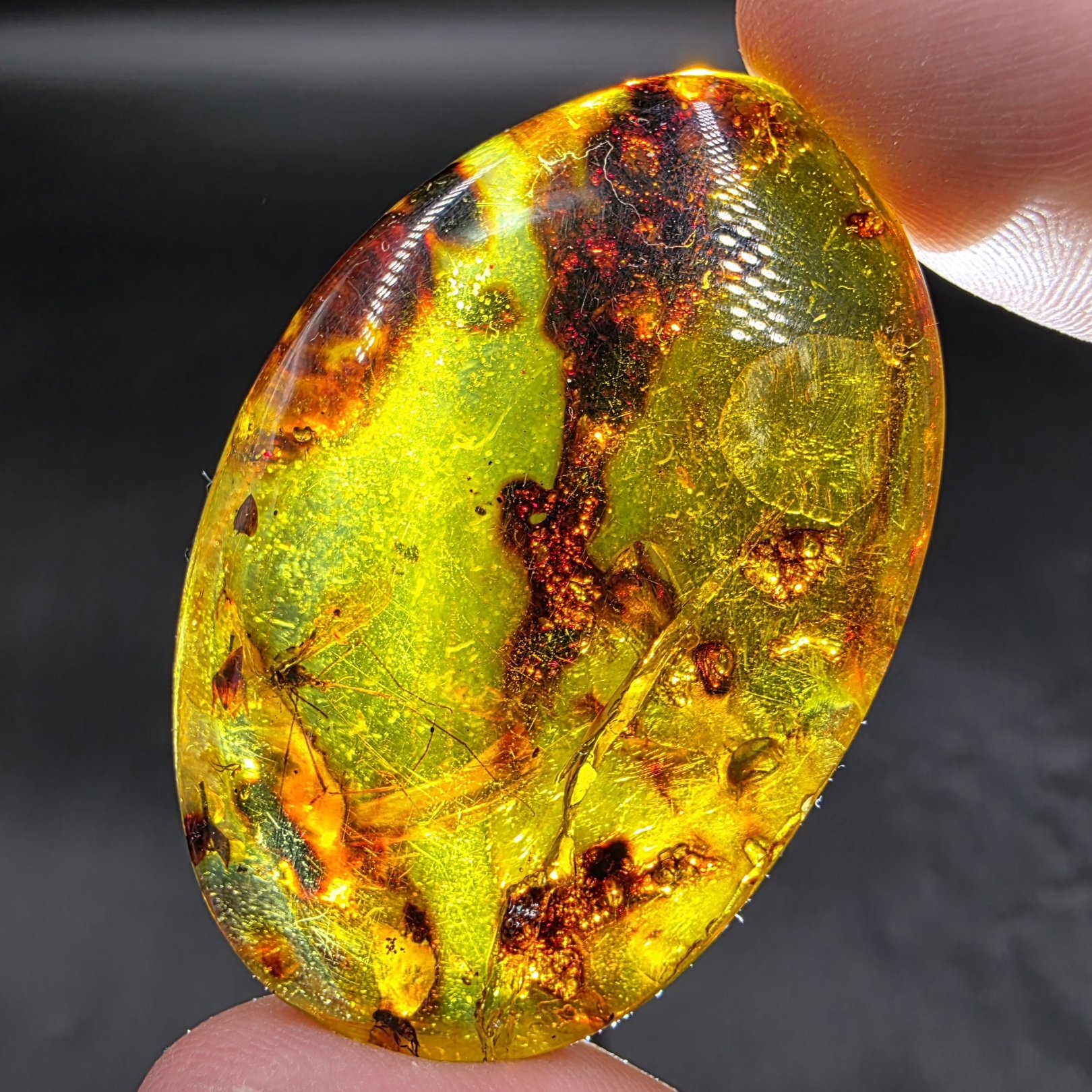 Amber with Insect Inclusions | Colombia | Fossilized Tree Amber | Polished Amber - Image 6