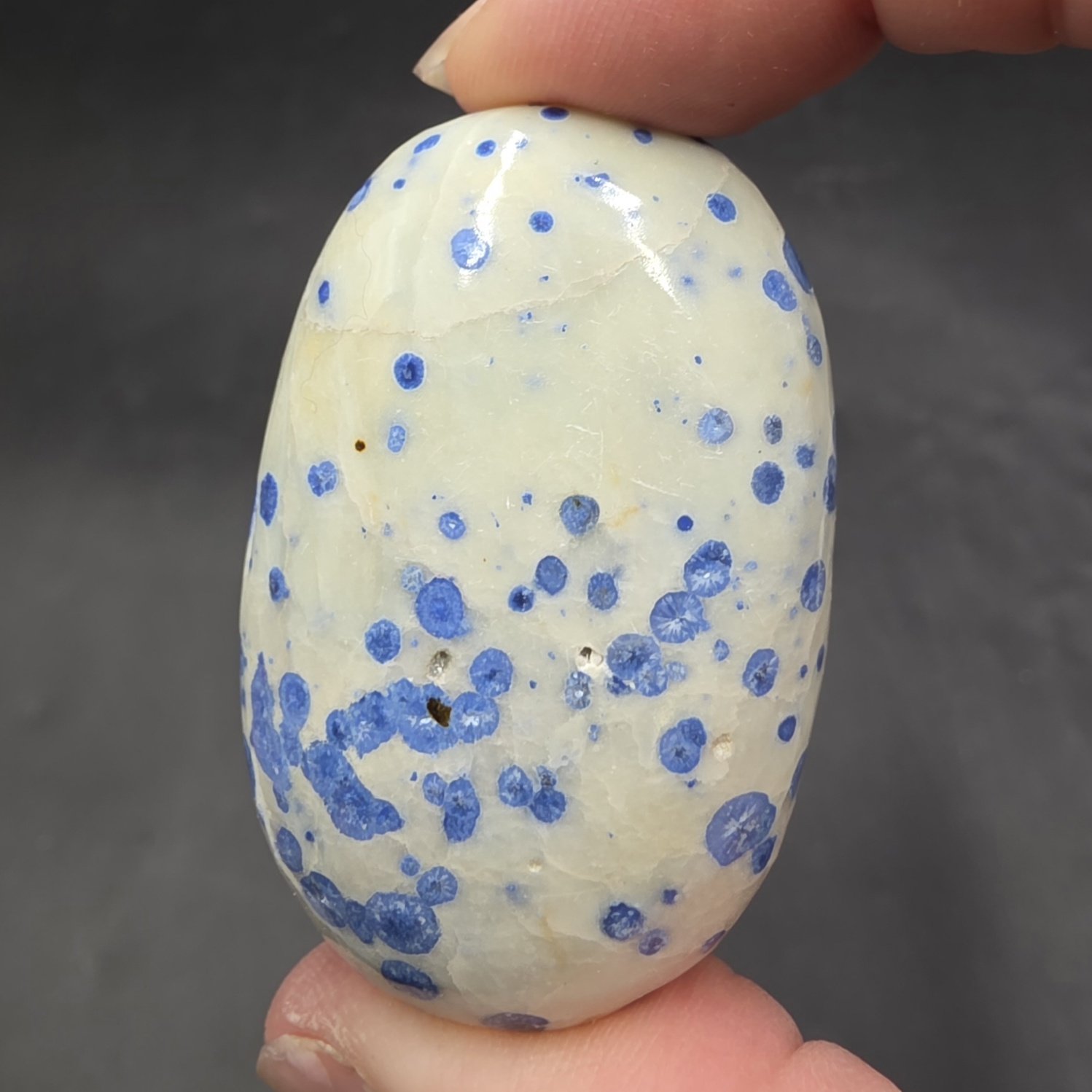 Dot Azurite Palmstone | India | C2H2Cu3O8 | Polished Azurite in Kaolinite