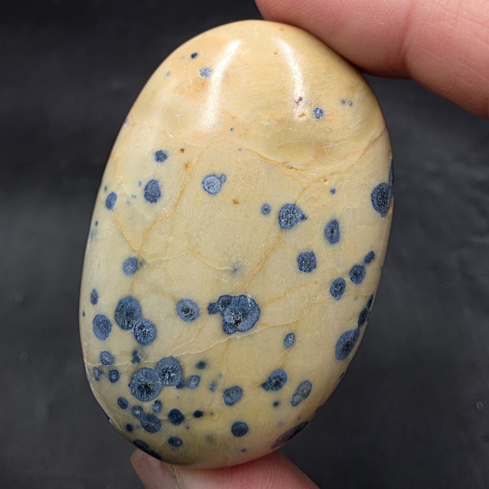 Dot Azurite Palmstone | India | C2H2Cu3O8 | Polished Azurite in Kaolinite - Image 2