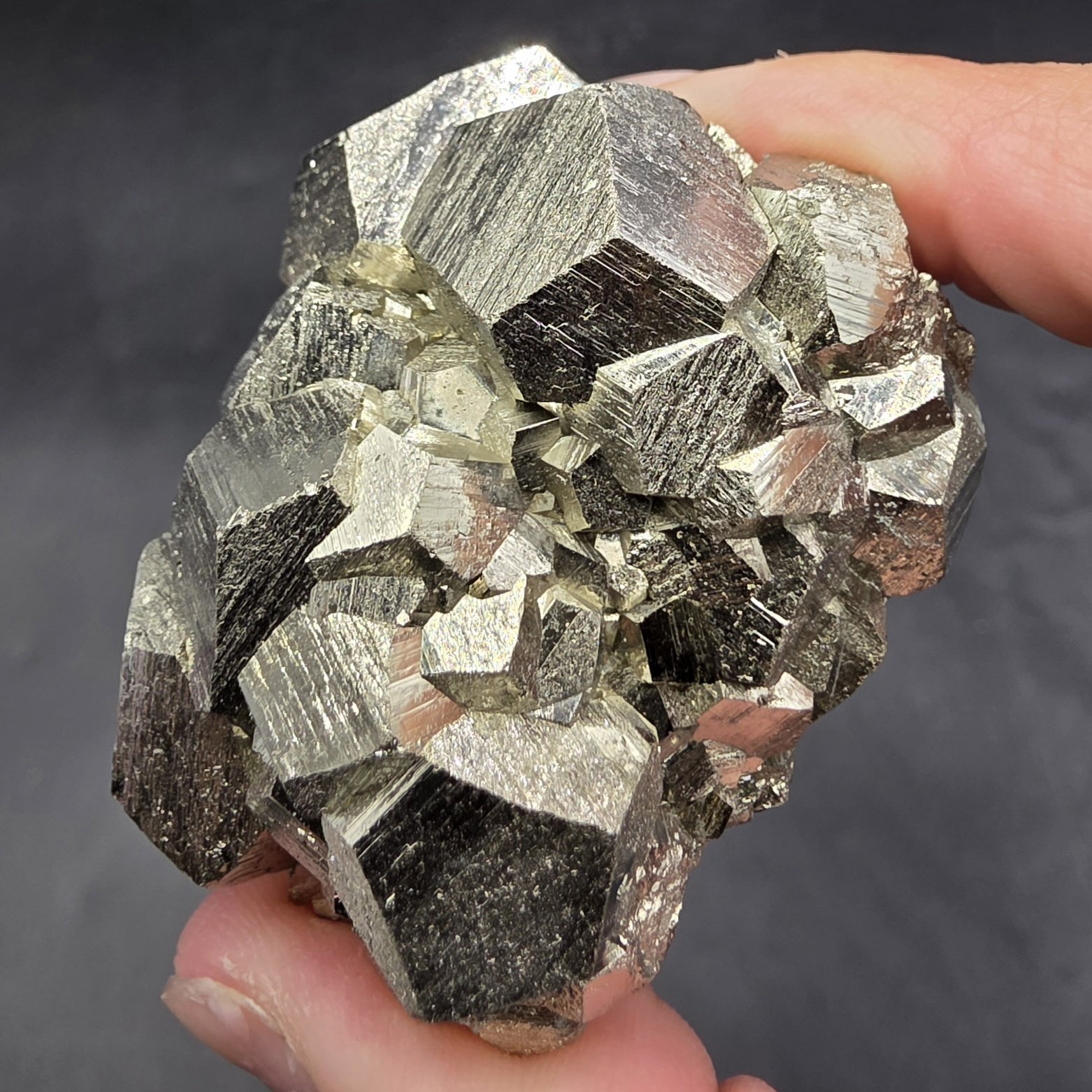 Pyrite | Huanzala Mine, Bolognesi District, Ancash Department, Peru | FeS2 | Pyrite Specimen