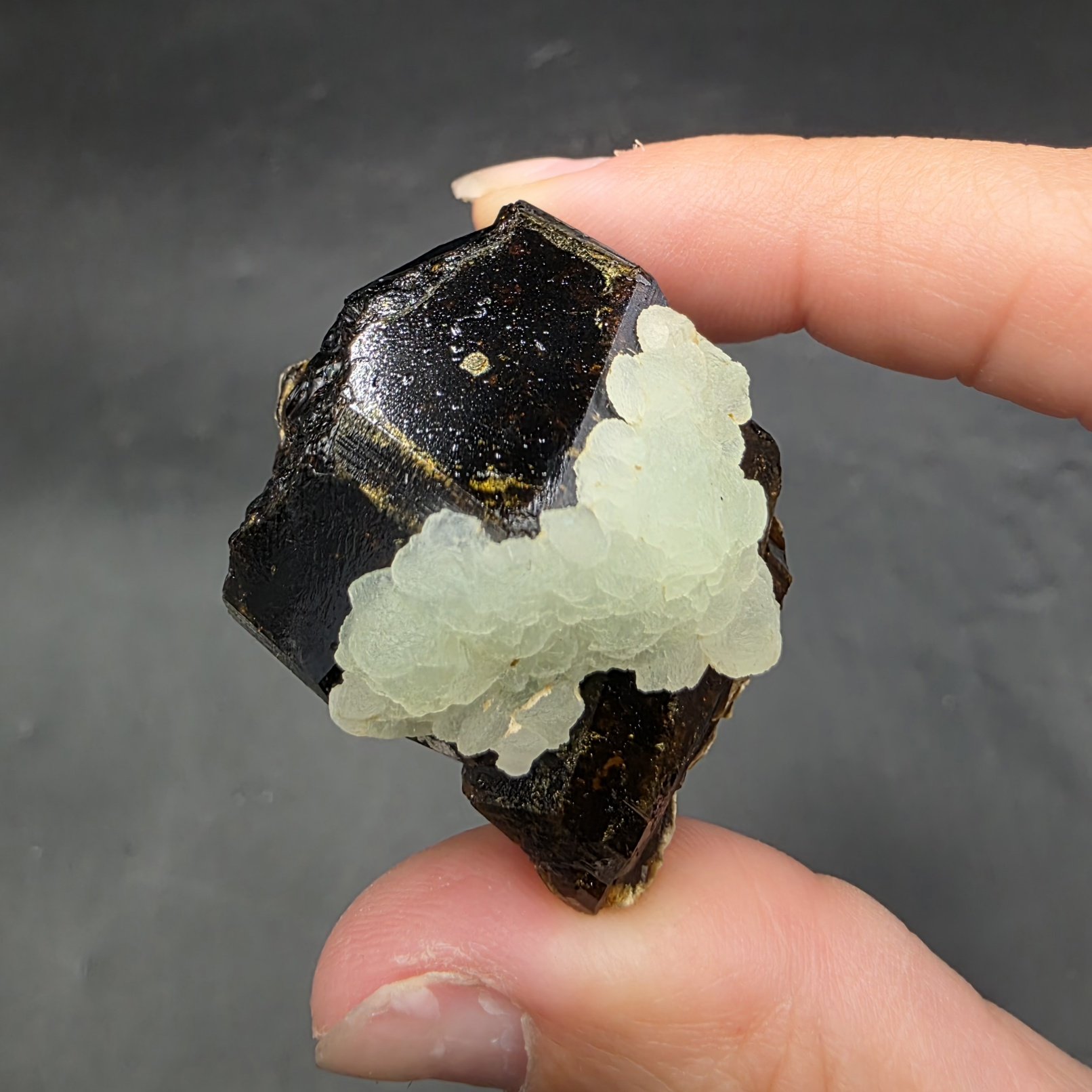 Prehnite with Epidote & Garnet | Mali | Ca2(Al2,Fe)(SiO4)(Si2O7)O(OH) | Prehnite with Epidote Specimen