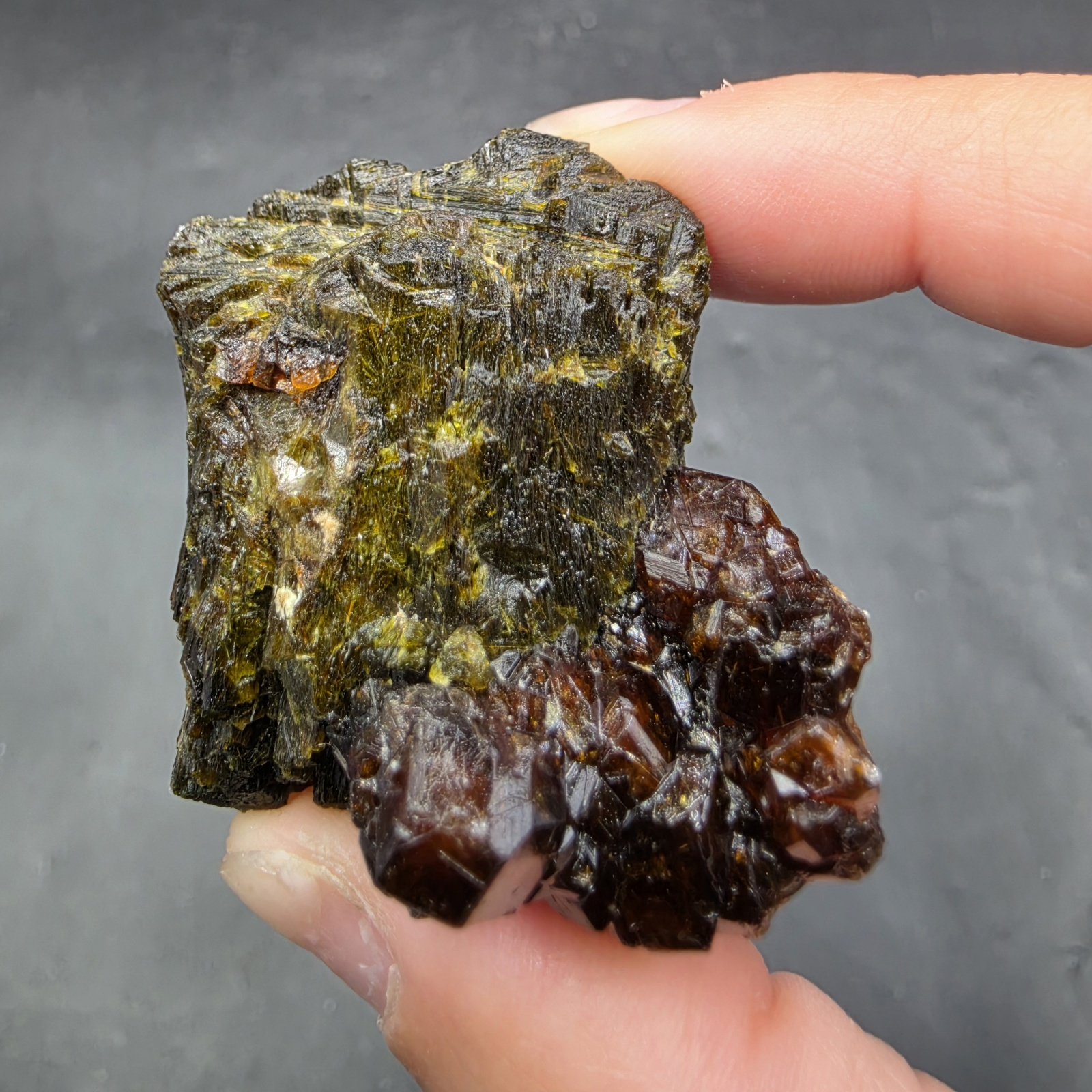 Prehnite with Epidote & Garnet | Mali | Ca2(Al2,Fe)(SiO4)(Si2O7)O(OH) | Prehnite with Epidote Specimen - Image 3