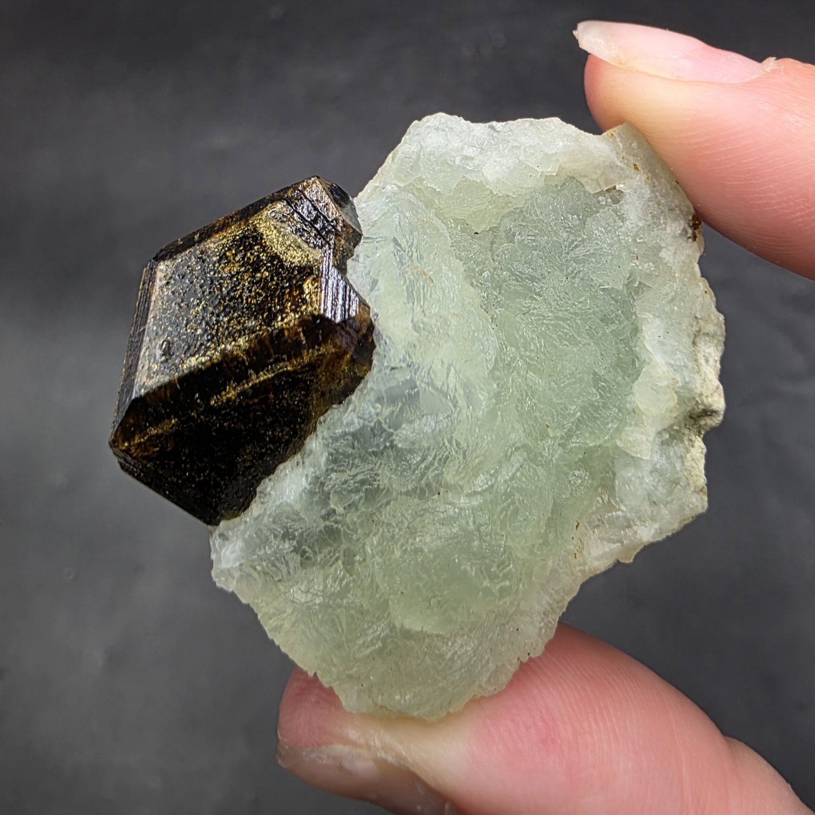 Prehnite with Epidote & Garnet | Mali | Ca2(Al2,Fe)(SiO4)(Si2O7)O(OH) | Prehnite with Epidote Specimen - Image 4