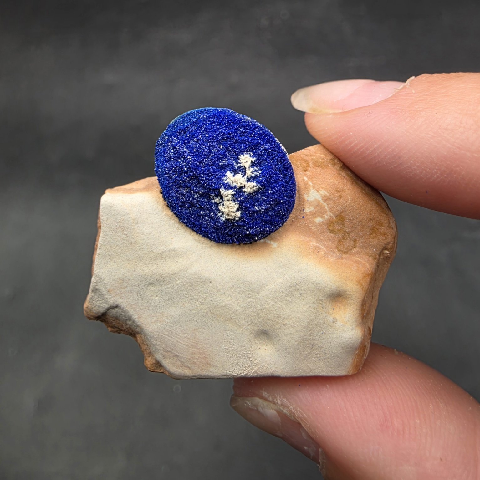 Azurite Sun | Malbunka Copper Mine, Northern Territory, Australia | C2H2Cu3O8 | Azurite Specimen