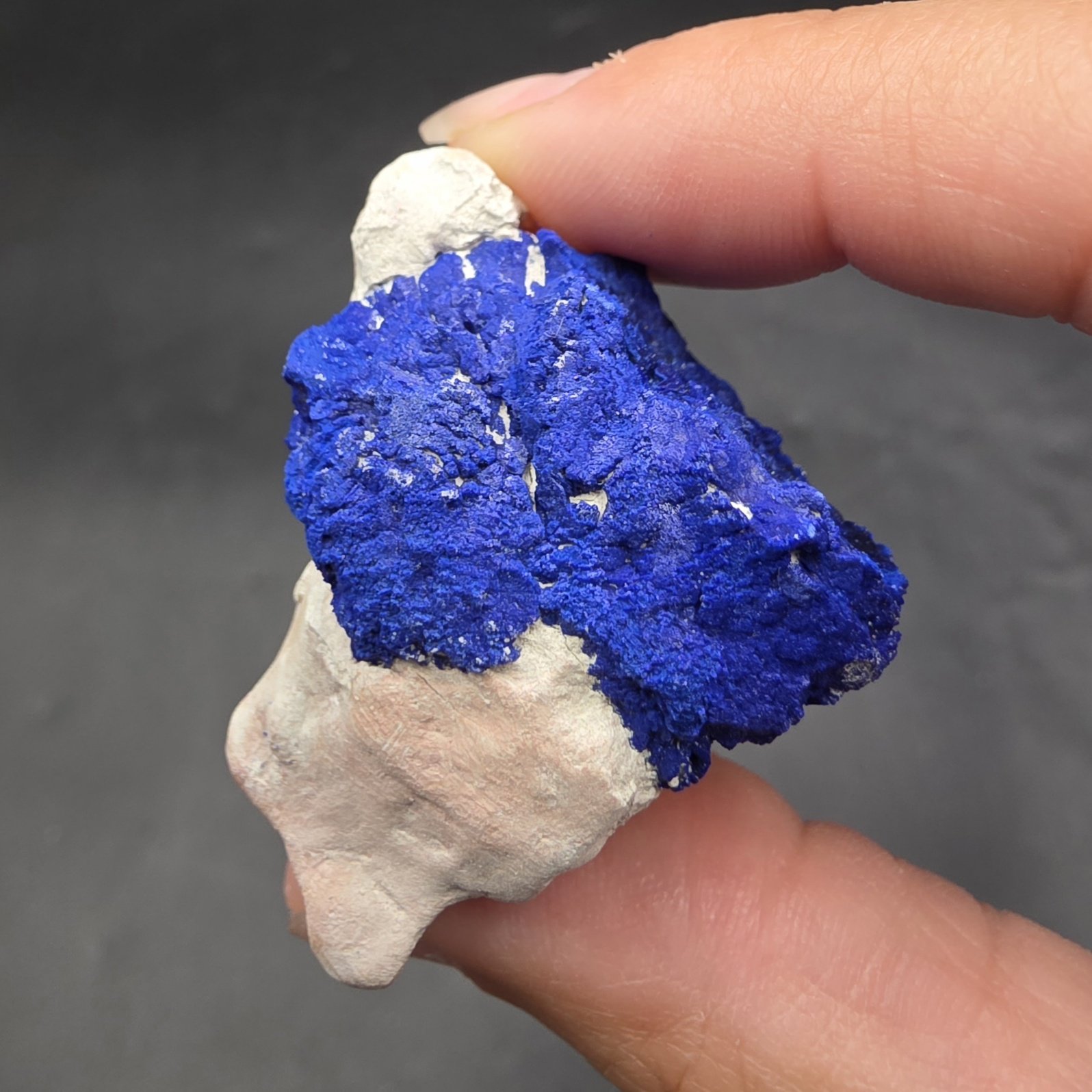 Azurite Sun | Malbunka Copper Mine, Northern Territory, Australia | C2H2Cu3O8 | Azurite Specimen - Image 2
