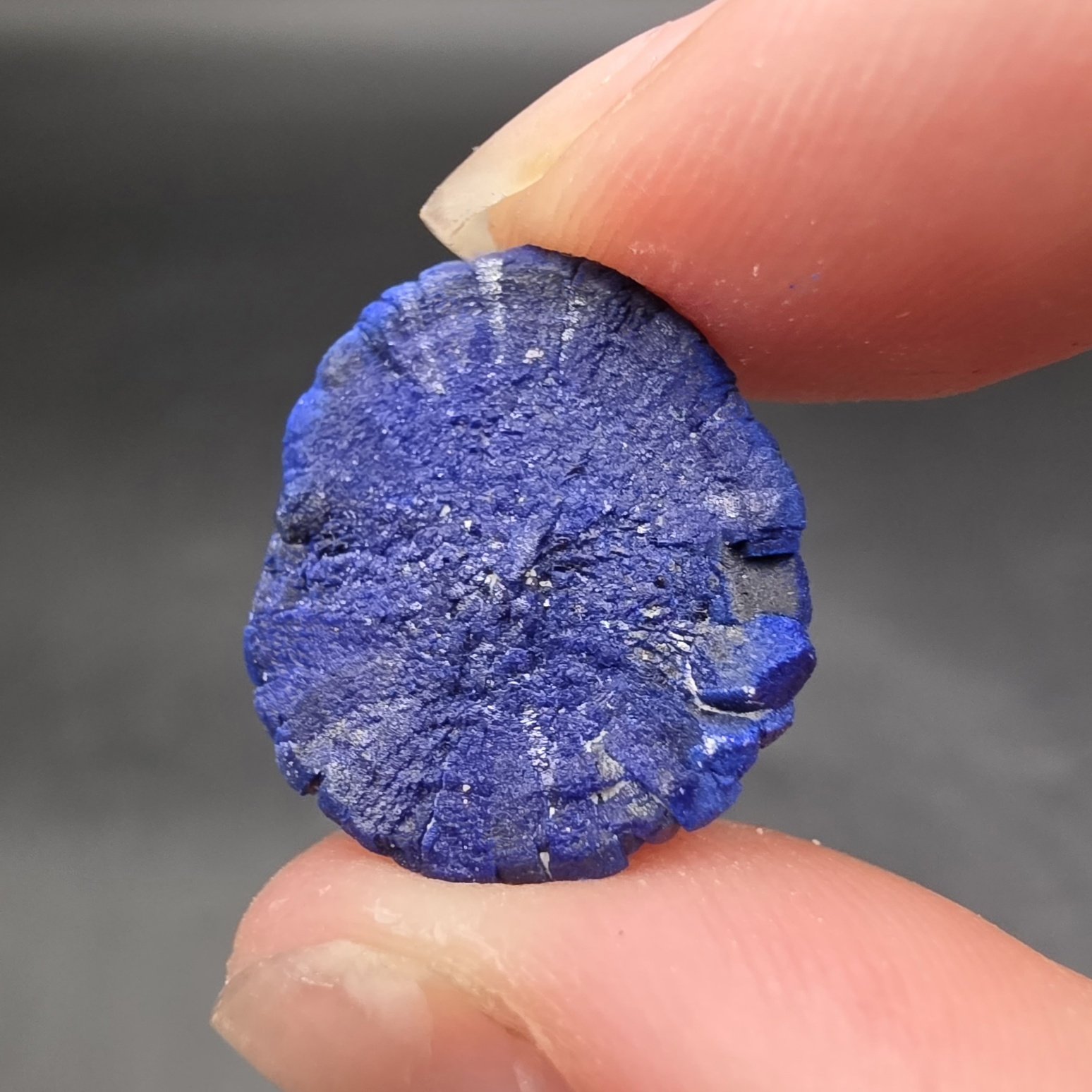 Azurite Sun | Malbunka Copper Mine, Northern Territory, Australia | C2H2Cu3O8 | Azurite Specimen - Image 4
