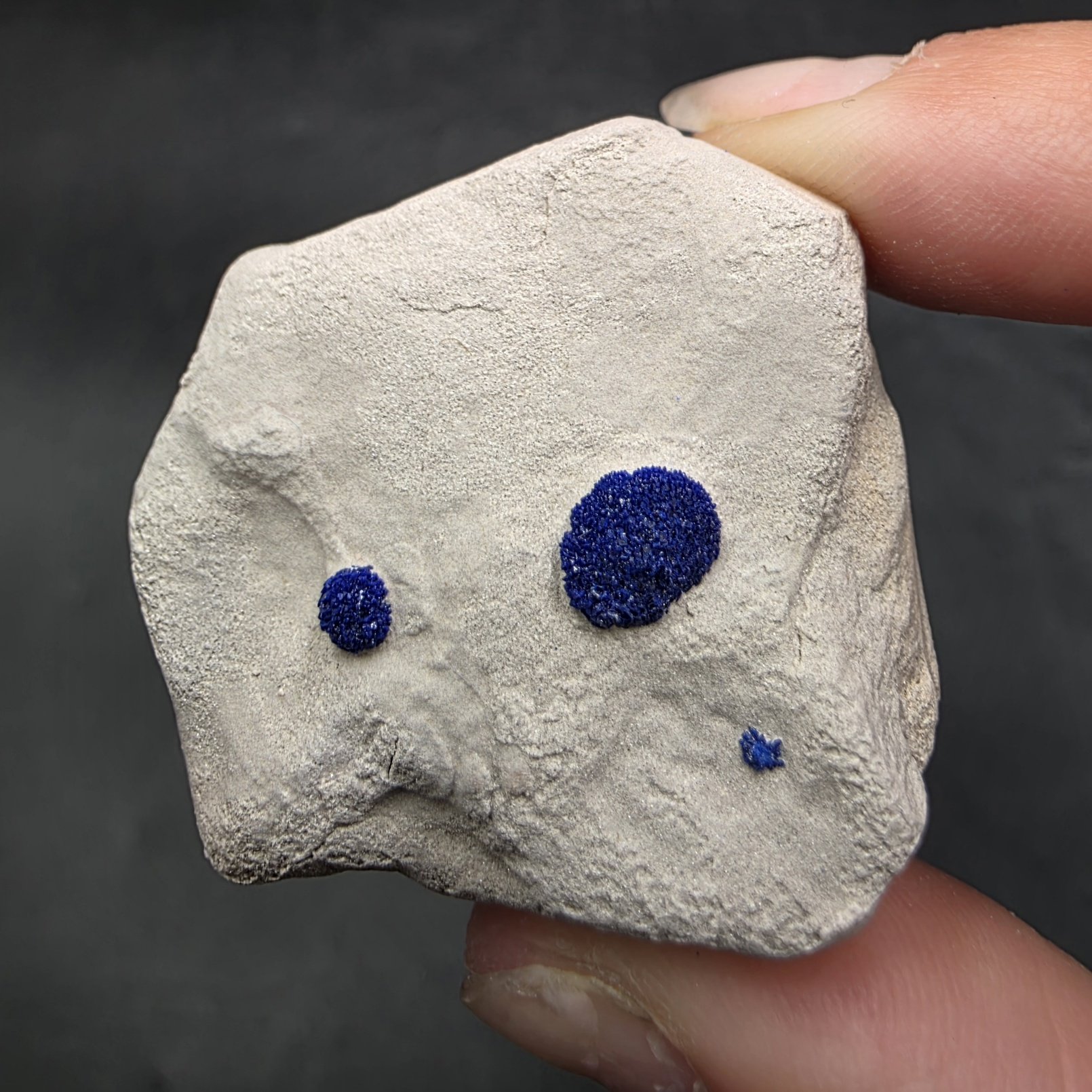 Azurite Sun | Malbunka Copper Mine, Northern Territory, Australia | C2H2Cu3O8 | Azurite Specimen - Image 5
