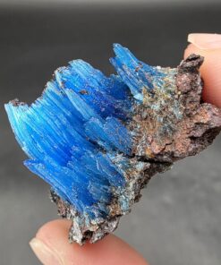 Chalcanthite | Planet Mine, Arizona | CuSO4·5H2O | Chalcanthite Specimen