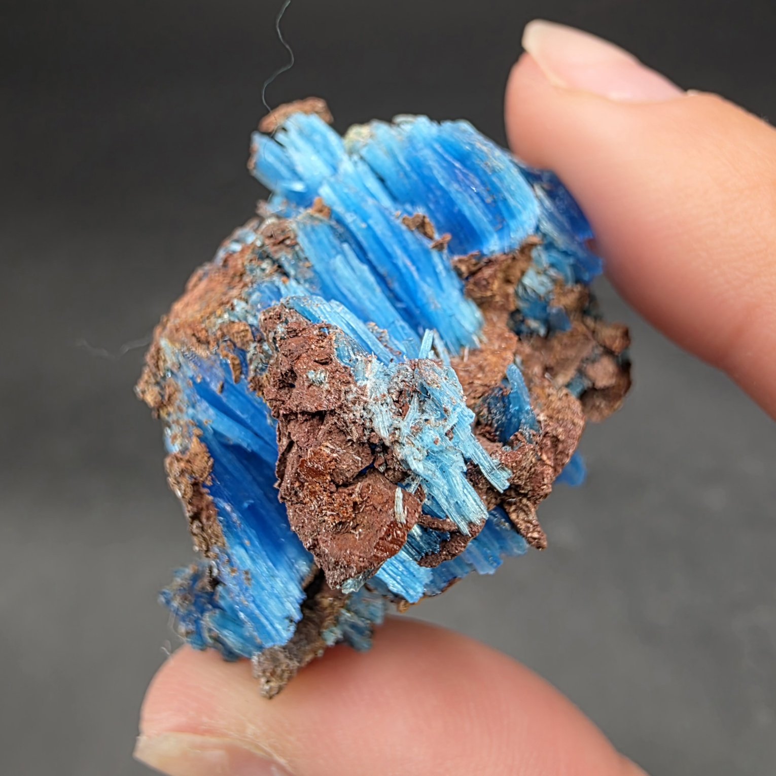 Chalcanthite | Planet Mine, Arizona | CuSO4·5H2O | Chalcanthite Specimen - Image 4
