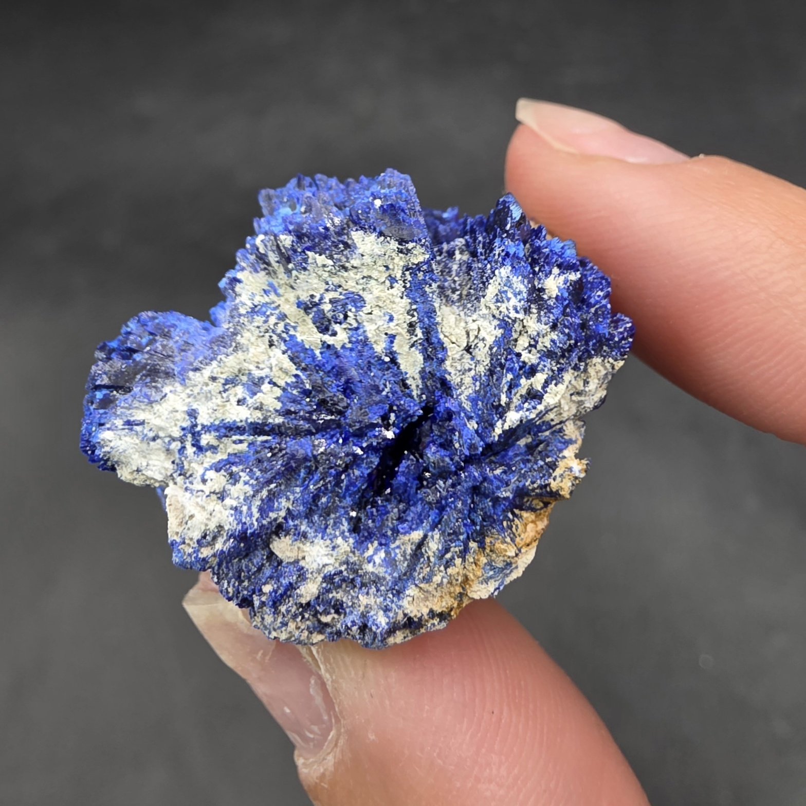 Azurite | Aouli, Mibladen, Morocco | C2H2Cu3O8 | Azurite with Malachite Specimen - Image 2