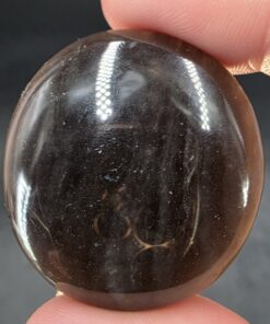 Tektite Palmstone | Caribbean Sea, Greater Antilles Region, Cuba | Iron Tektite | Polished Tektite