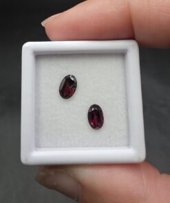 Faceted Rhodolite Garnet Set | Tanzania | Ca3Fe3+2(SiO4)3 | Garnet Facet