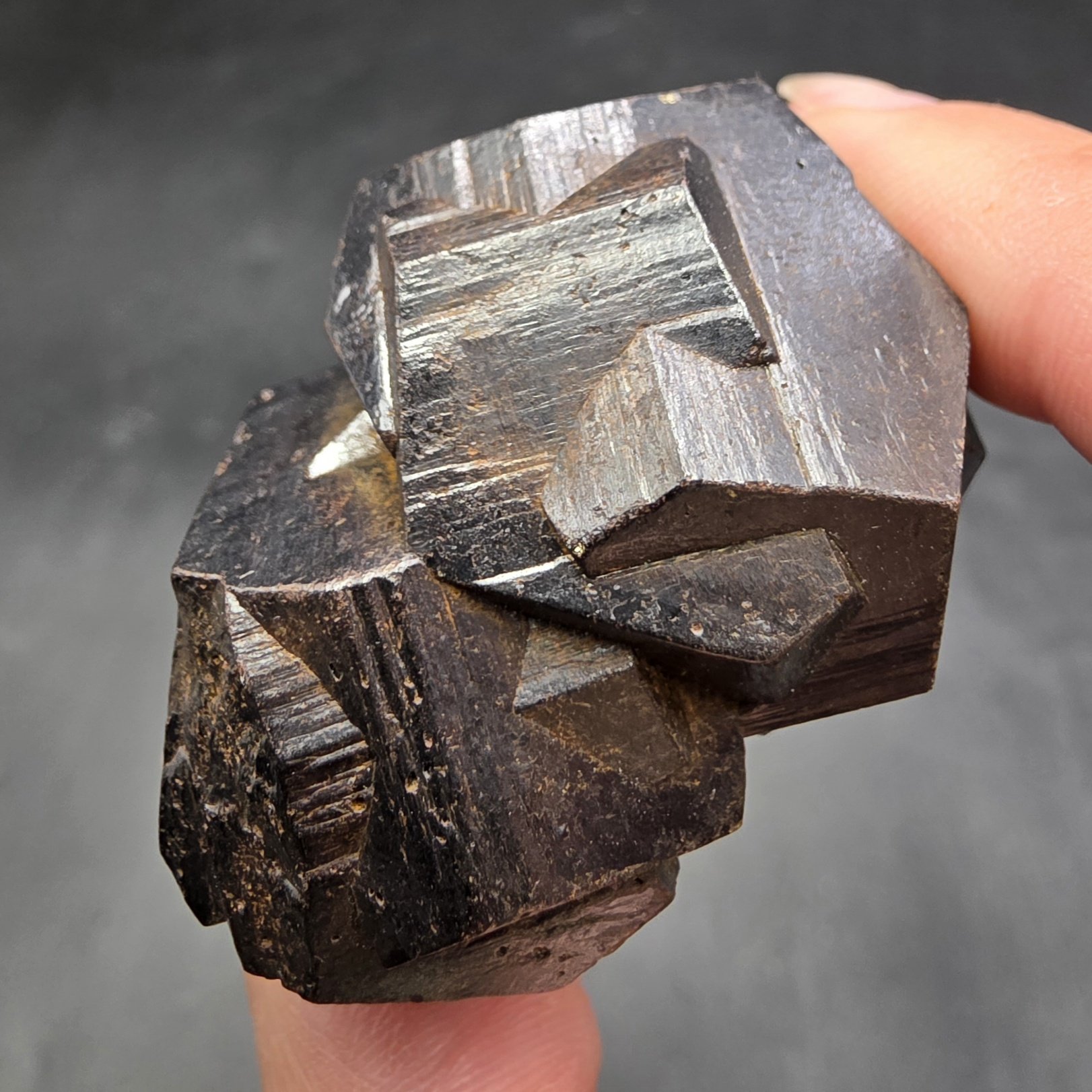 Limonite "Iron" Cross | Colombia | FeO(OH) | Limonite Cross Specimen