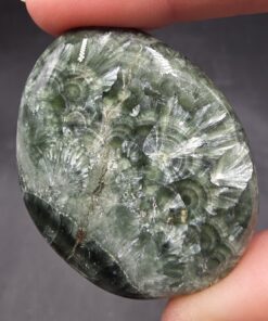 Seraphinite Palmstone | Russia | Mg5Al(AlSi3O10)(OH)8 | Polished Seraphinite