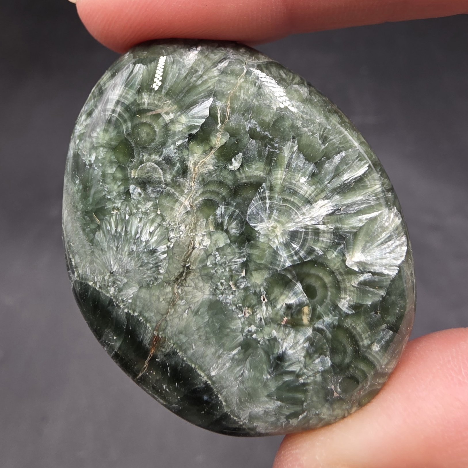 Seraphinite Palmstone | Russia | Mg5Al(AlSi3O10)(OH)8 | Polished Seraphinite