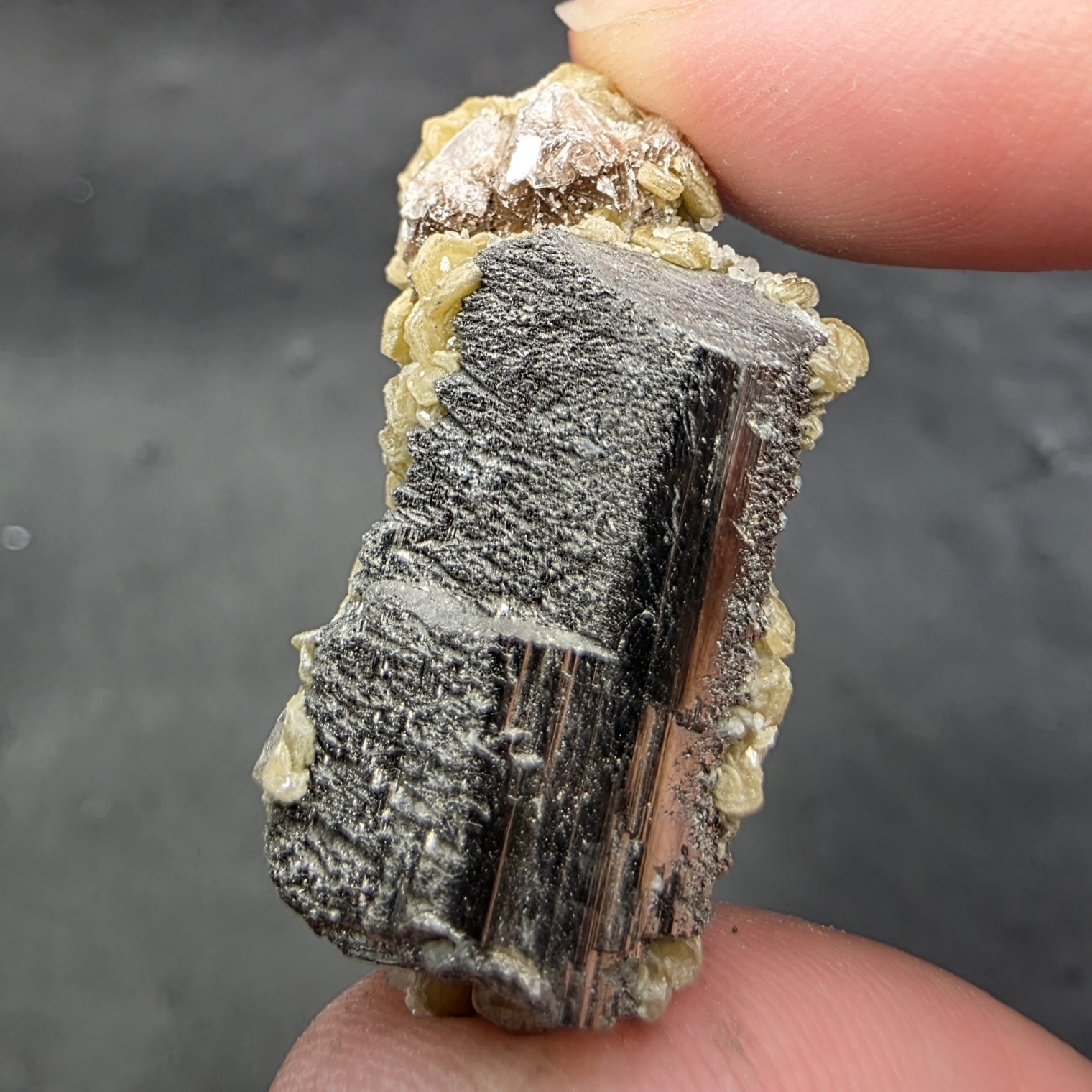 Arsenopyrite | Panasqiera Mine, Portugal | FeAsS | Arsenopyrite Specimen