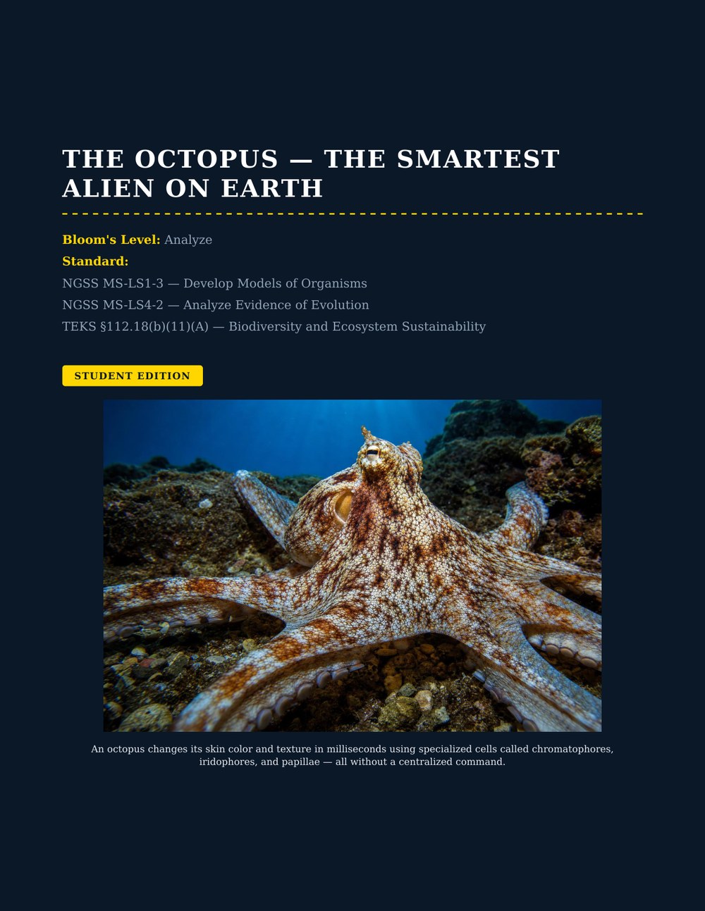 The Octopus — The Smartest Alien on Earth