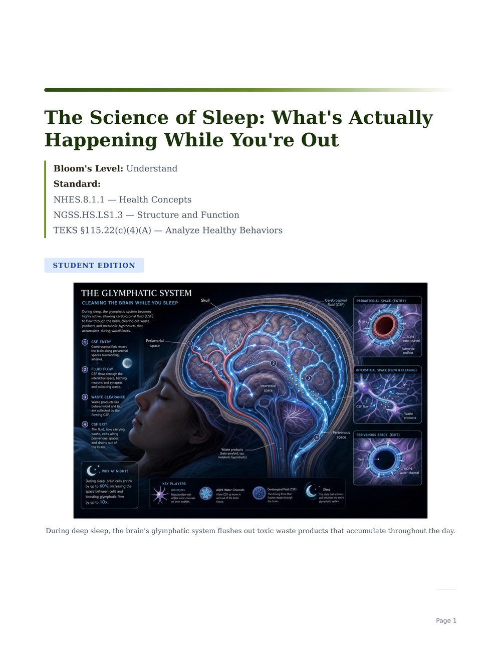 The Science of Sleep: What's Actually Happening While You're Out