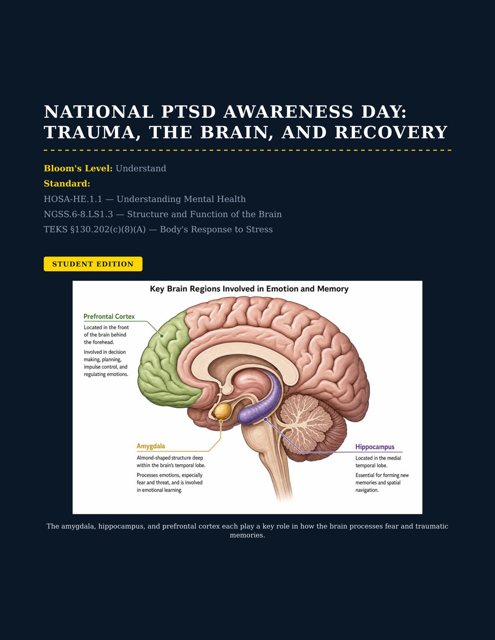 National PTSD Awareness Day: Trauma, the Brain, and Recovery