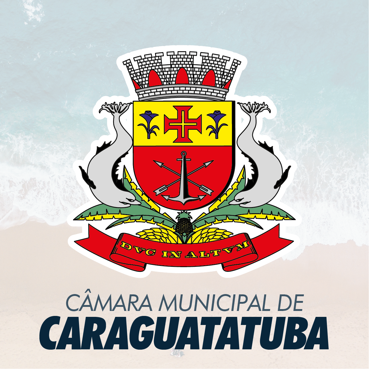 Câmara derruba veto ao projeto que institui Dia dos Protetores dos Animais