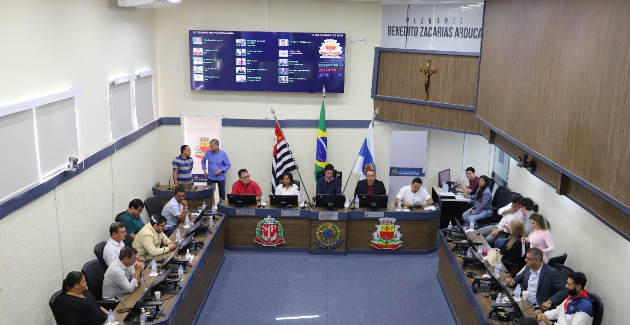 Em votação unânime, projeto que proíbe fogos de artifício com estampido é aprovado