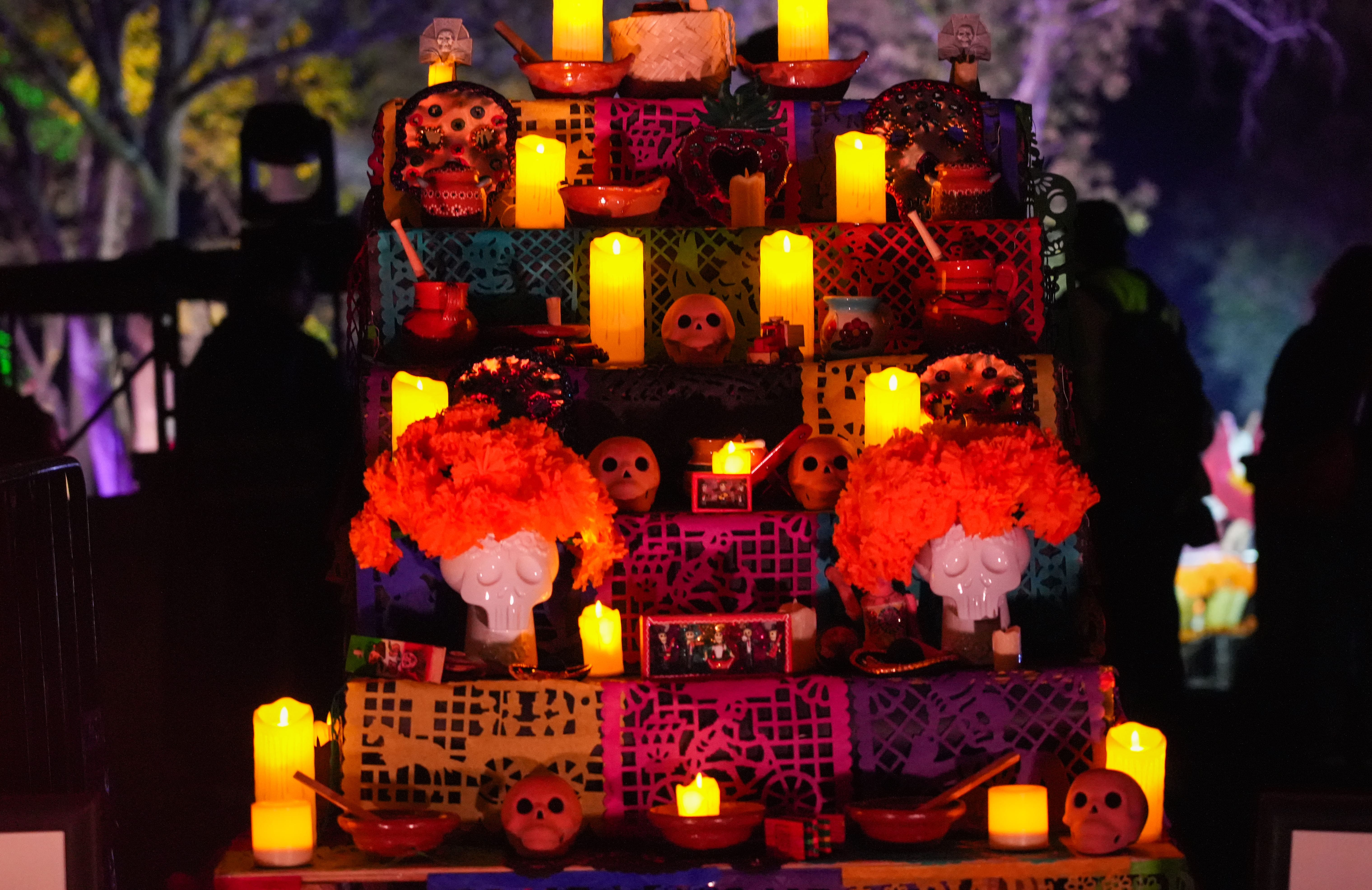 Noche de Gala: Ballet Amalia Hernández - DSC02451