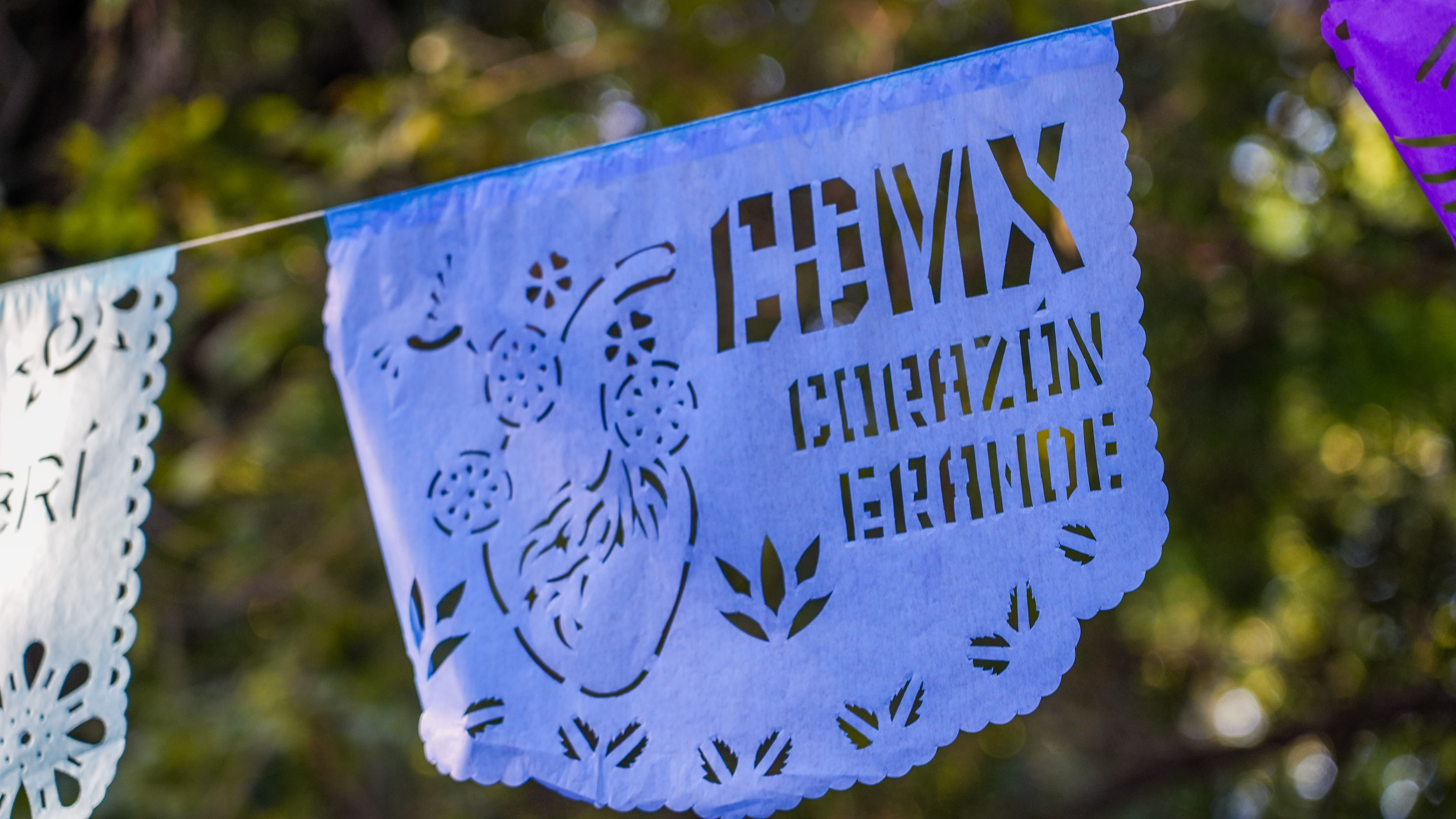 Escapada Tropical a Acapulco - DSC09873