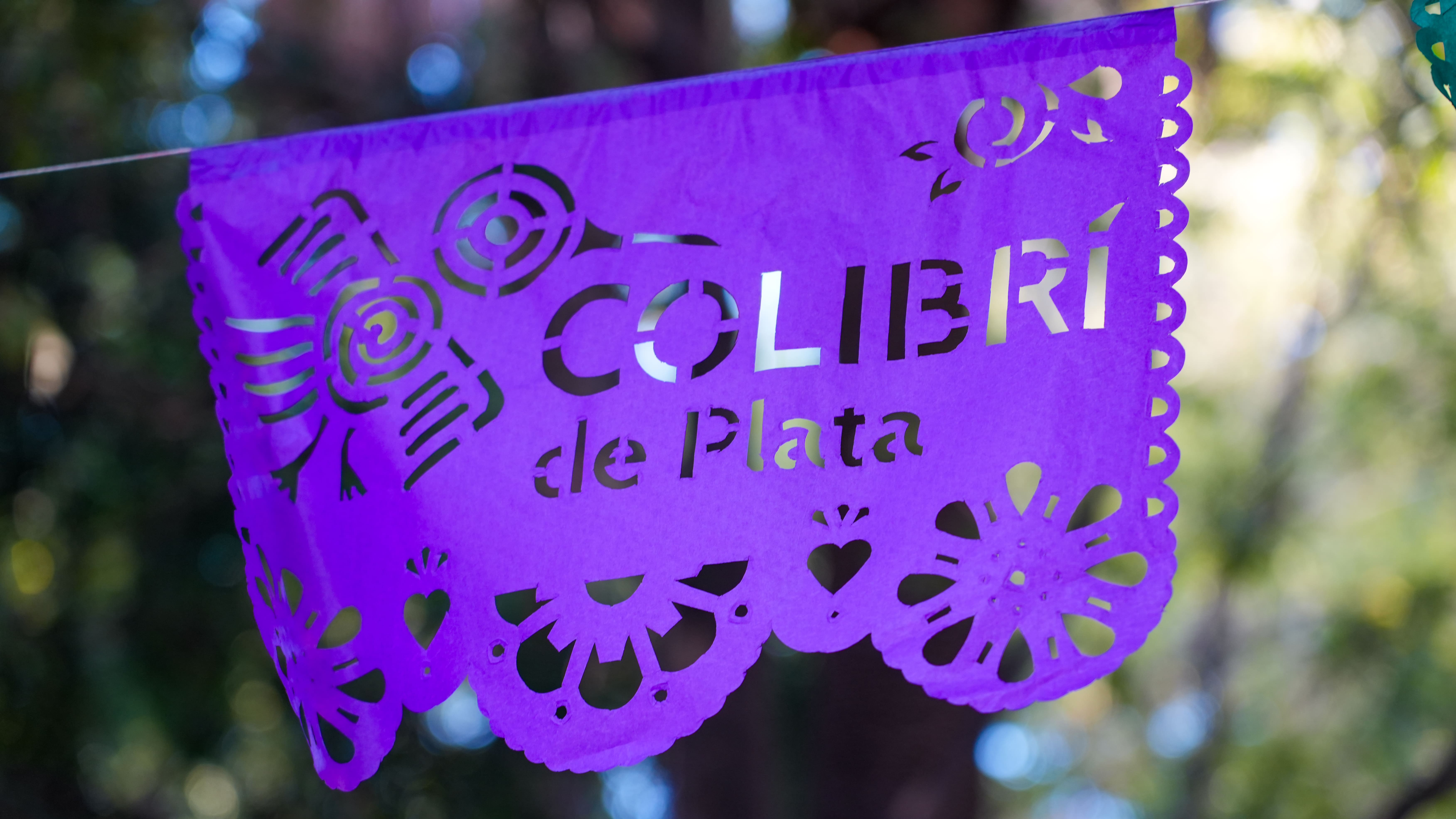 Escapada Tropical a Acapulco - DSC09872