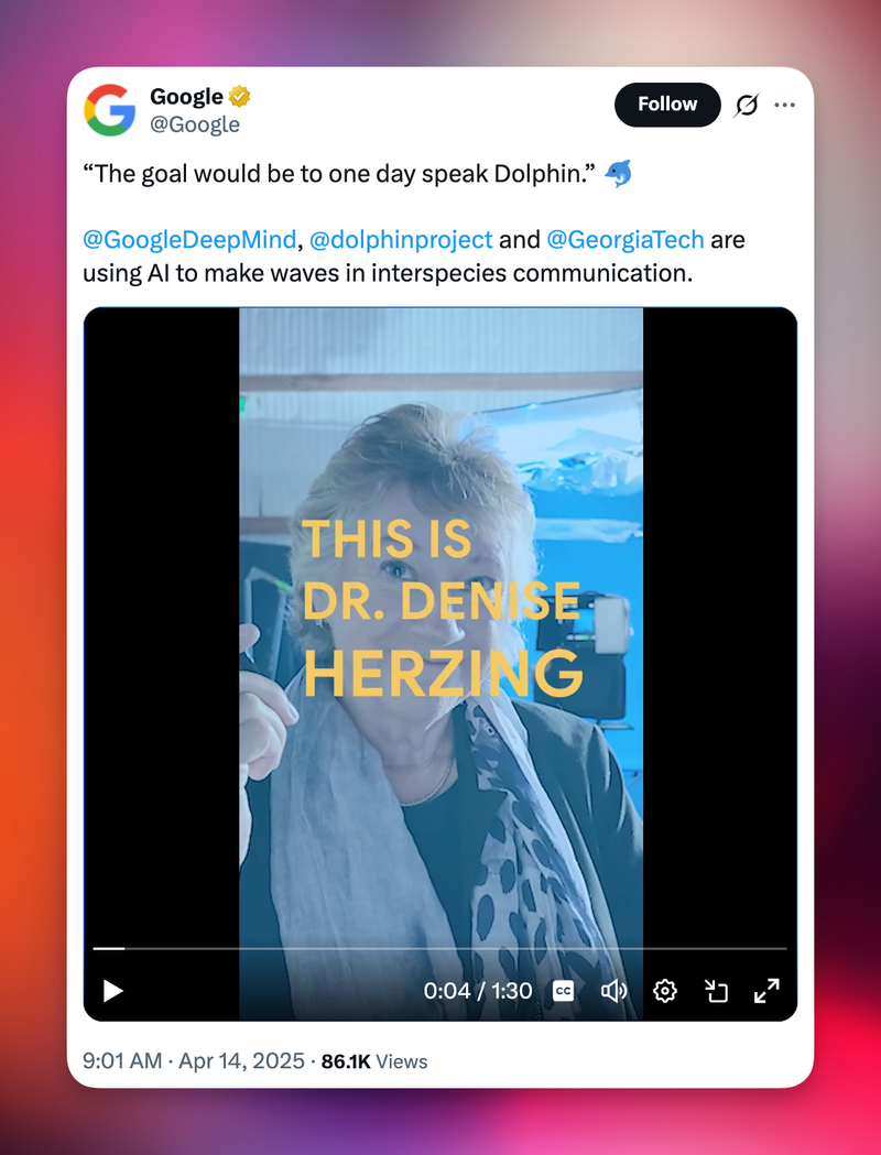 Tweet by @Google: "The goal would be to one day speak Dolphin. @GoogleDeepMind, @dolphinproject and @GeorgiaTech are
using AI to make waves in interspecies communication."
An attached video shows a woman with a phrase overlayed on top of the video: "THIS IS DR. DENISE HERZING"
Apr 14, 2025, 86.1K Views