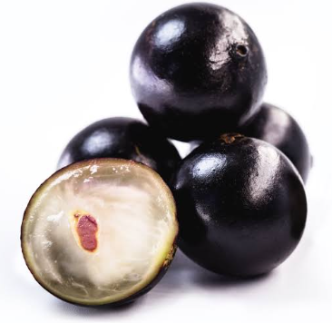 Jabuticaba