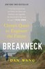 Breakneck: China's Quest to Engineer the Future