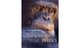 Chimpanzee Politics: Power and Sex among Apes cover