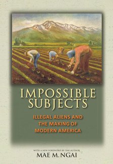 Impossible Subjects: Illegal Aliens and the Making of Modern America - Updated Edition (Politics and Society in Modern America)