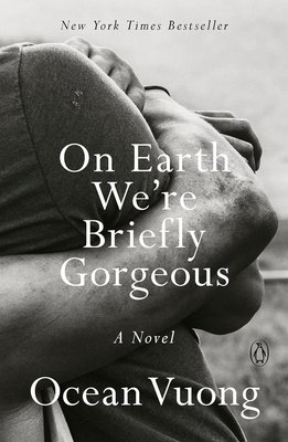 On Earth We're Briefly Gorgeous: A Novel cover