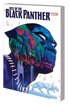 Rise of the Black Panther cover