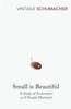Small Is Beautiful [Paperback] [Jan 01, 1993] E F Schumacher