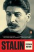 Stalin: Paradoxes of Power, 1878-1928 cover