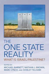 The One State Reality: What Is Israel/Palestine? cover