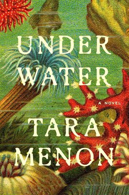 Under Water: A Novel cover