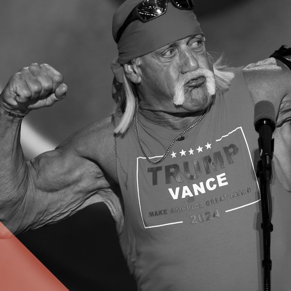 Artwork for Manliness, Cat Ladies, Fertility Panic and the 2024 Election