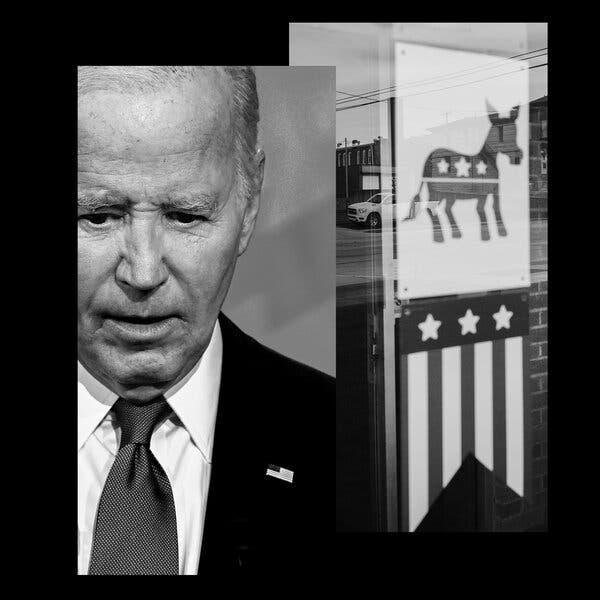 Artwork for What Is the Democratic Party For?