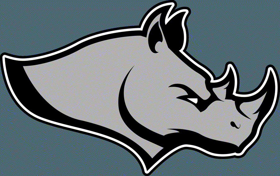 Rhino Brothers Moving LLC logo