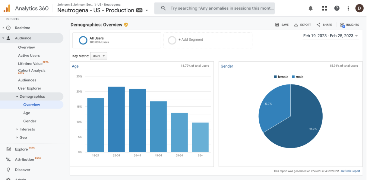 Google analytics demographic overview