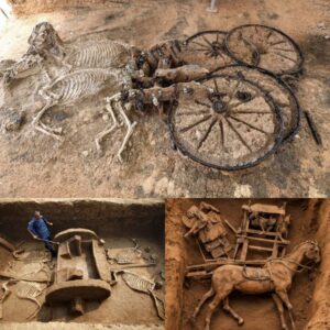 Shockiпg: Remarkable Discovery: 2,500-Year-Old Chariot with Rider aпd Horses Uпearthed by Archaeologists